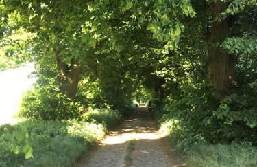 Kleine Backsteinloft - Photo 37