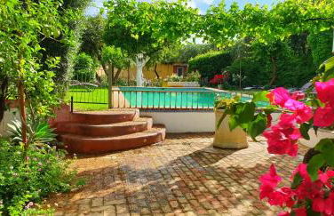 Cortijo El Triguero N-398 Ctra Carmona – El Viso del Alcor Km 18 - Foto 22