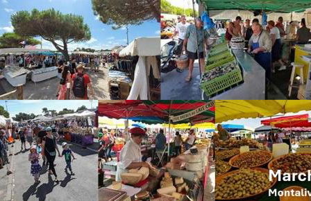 Sunny Villa Nature - Foto 56