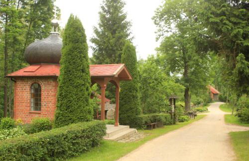 Żywkowo Bocianie Gospodarstwo Rolne - Foto 21