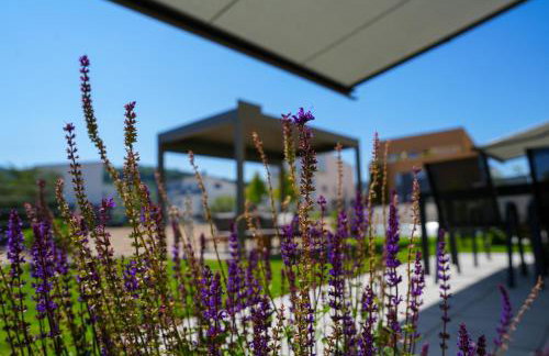 101-freiburg - Photo 18