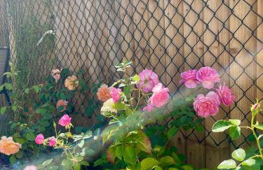 3-bed cottage in Sway, New Forest (5 min walk from Sway Train Station) - Foto 52