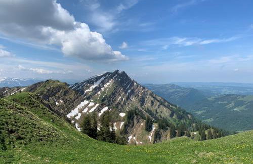 Staufen Herz - Foto 21