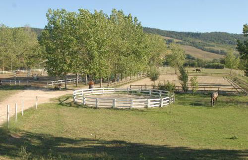 Podere Calledro - Foto 49