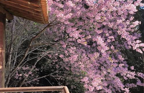 Apartamento Rústico Industrial nos Altos de Albuquerque - Photo 45