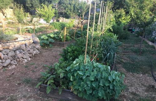 Agroturismo Rafal Rubí - Foto 56