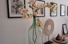 Masseria Cesarina B&B - Foto 60