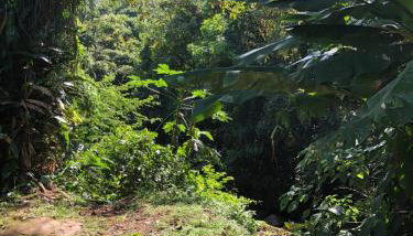 Casa na Castália-Cachoeiras de Macacu 10 min - Foto 2