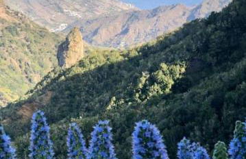 Casa Tajaraste 1 - Foto 54