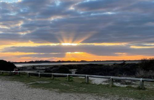 The Annexe - Pagham - Photo 25