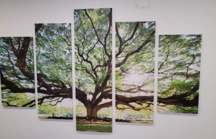 Guest House CR5 - Foto 11