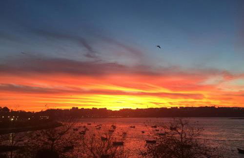 River house - Foto 32