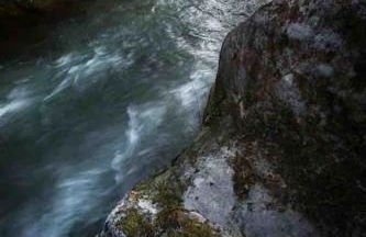 Torre delle rondini - Foto 20