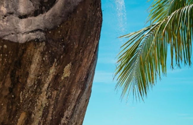 Reserva do Sahy, Condado - Foto 32