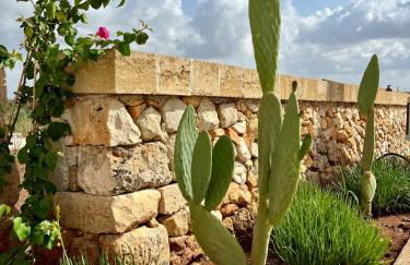 Masseria Voluzzi - Foto 55