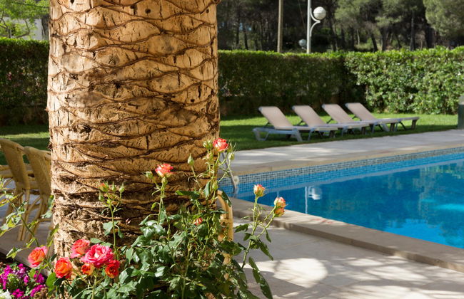 Tres Torres - Photo 20