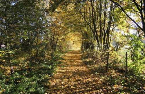 1 Mainblick Brigitte - Foto 24