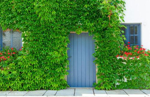 Design Ferienwohnung mit Bauerngarten - Foto 48