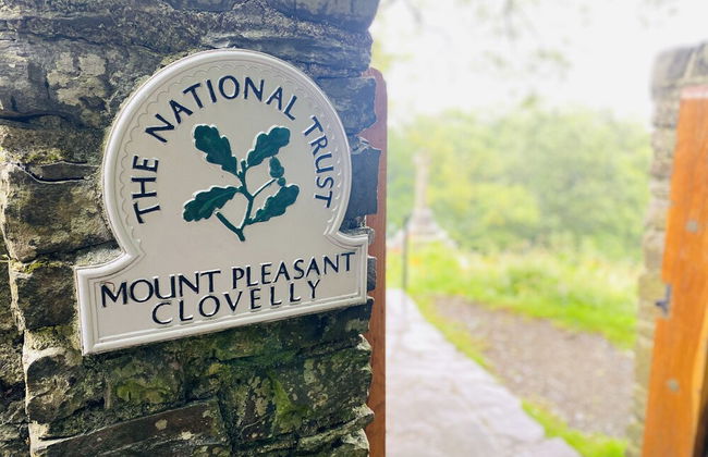 Holly Hayes House - Photo 22