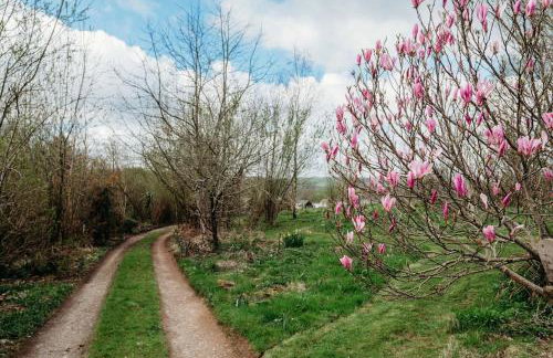 Robin Nest - Cosy Shepherd's Hut Hideaway - Photo 16