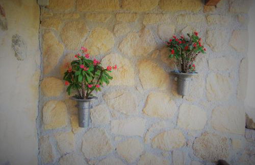 Olive Villas - Photo 60