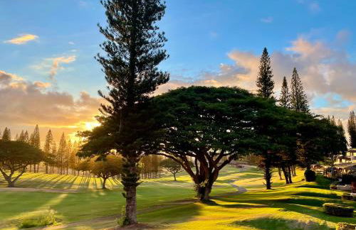 Kapalua Golf Villa 15T 78 - Foto 1