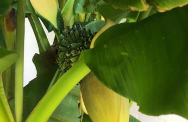 Ferienwohnung Dettum - Foto 76