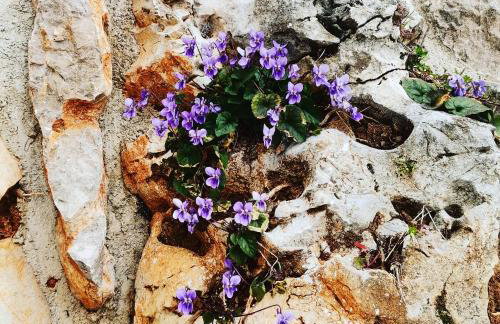 Apartment Sandra2 - Foto 34