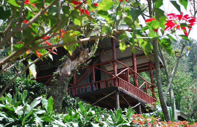 Crater Bay Cottages - Photo 67