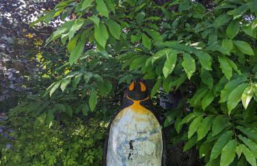 HEIDEWAY KOMPLETTE Wohnung FREI Parken TOP Anbindung A46 - Foto 44