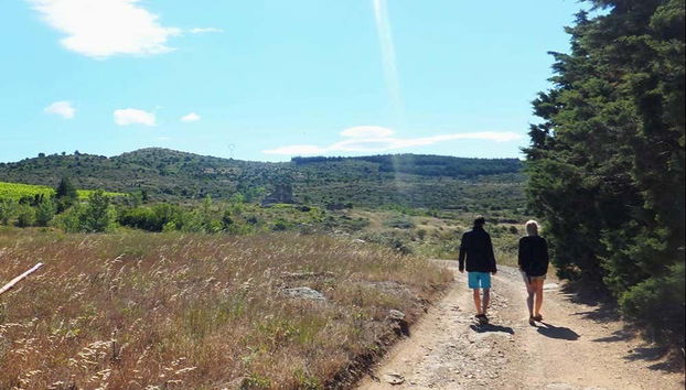 Walking among Bélesta's vineyards