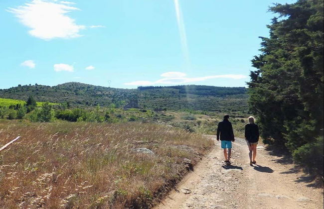 Bélesta Vineyards Hiking Activity - Photo 2