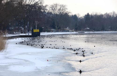 Ferienhaus Caputh - Foto 37
