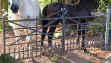 CuckOO Nest Entire house - Foto 4