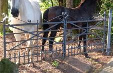 CuckOO Nest Entire house - Foto 4