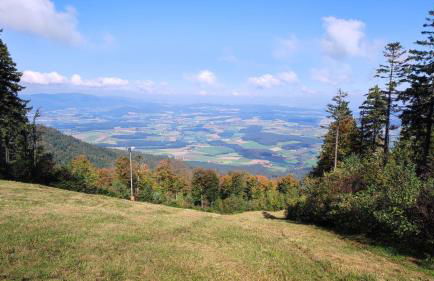 Apartment Rehblick Hohenwarth - Photo 29