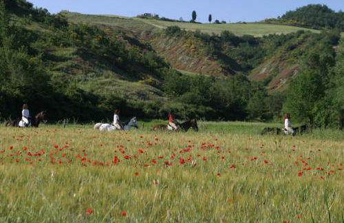 Il Poggio Agriturismo & Resort - Foto 41