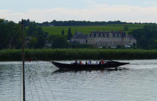 a 10 mn d Angers petite maison indépendante - Photo 12