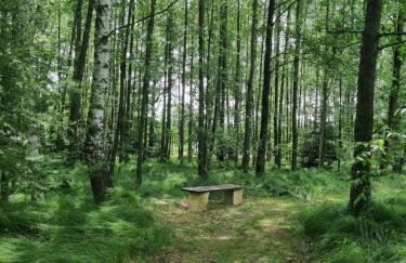 Apartament na Leśnym Zaciszu - Foto 26