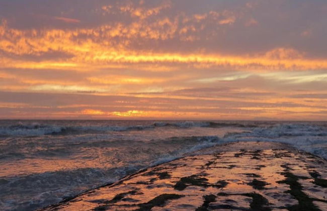 Apartment in Nieuwpoort Near the Beach - Foto 12