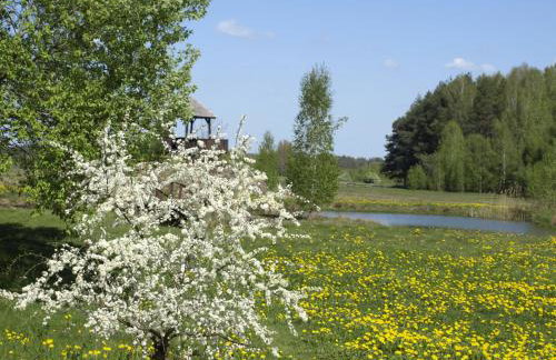 Wieża marzeń - Photo 12