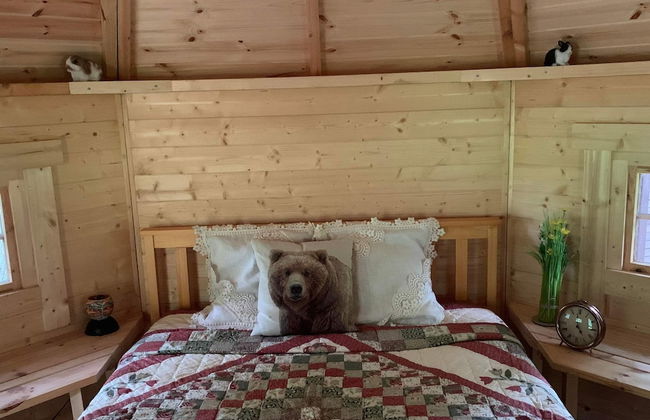 Starry Meadow - Foto 41