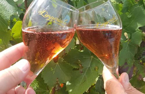 Le Cocon à Ay-Champagne Escapade romantique & dégustation de Champagne - Foto 14