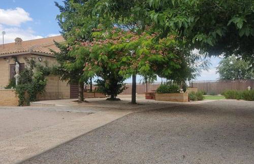 Finca El Pilar - Foto 31