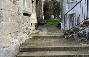 Coco Bonnevie - Photo 14