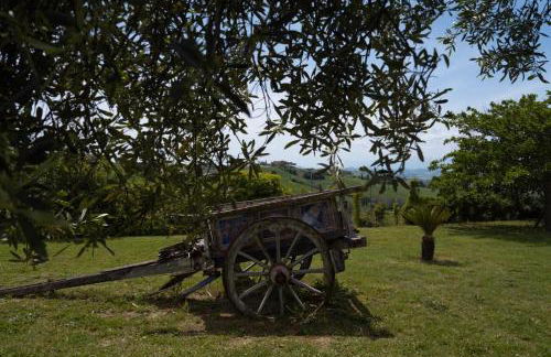 Il Casale dello chef - Foto 33
