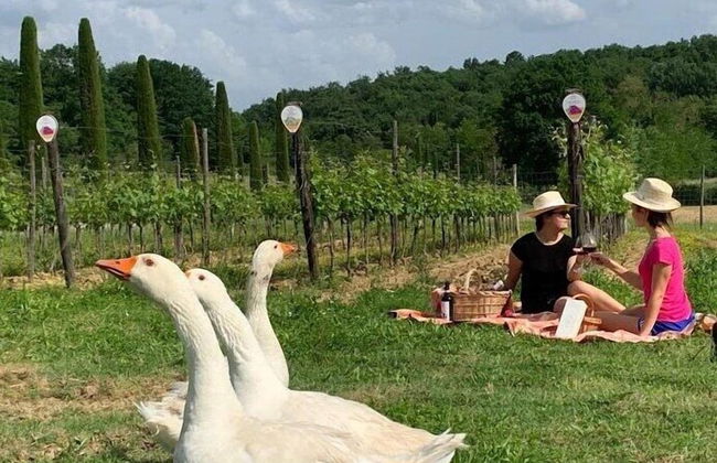 Palagina la cascina - Foto 72