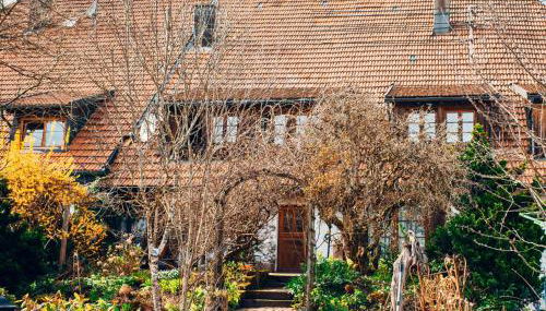 Schweizerblick - Denkmalgeschützes Haus in ruhiger Lage - großer Garten und mit Charme eingerichtet - ideal für Familien, Paare & Hund - Foto 2, Garden, Garden view