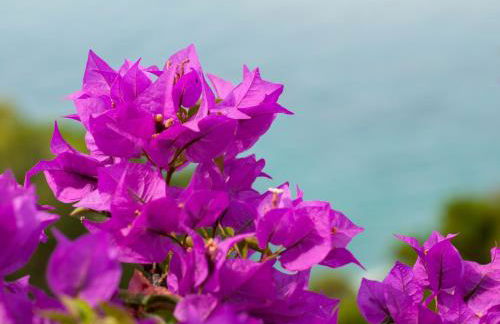 Villa Eliodora - due appartamenti - Foto 55