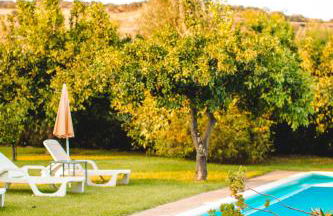 Agriturismo Villa Vittoria - Photo 84